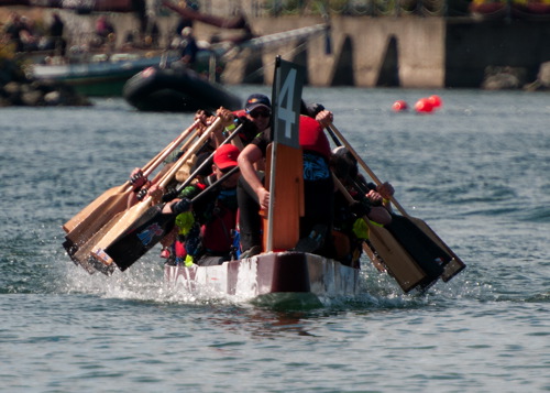Festival 2013